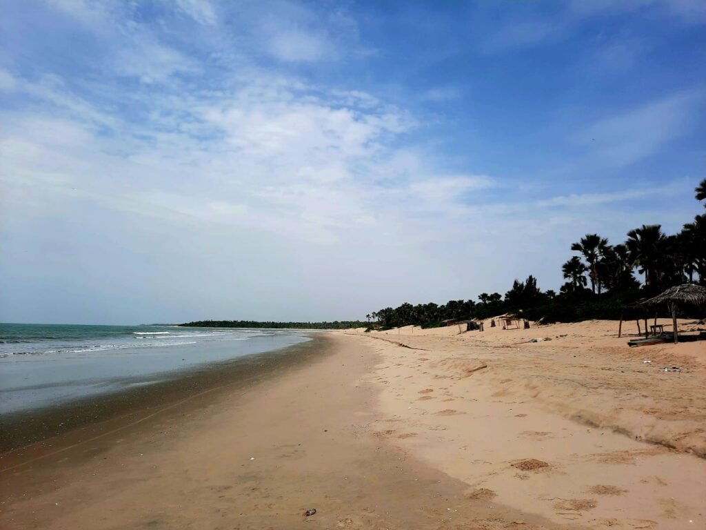 plots sanyang