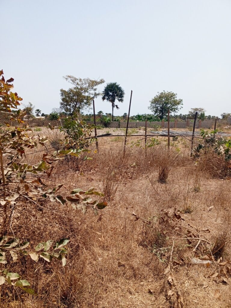 plots sanyang