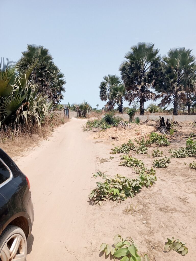 plots sanyang