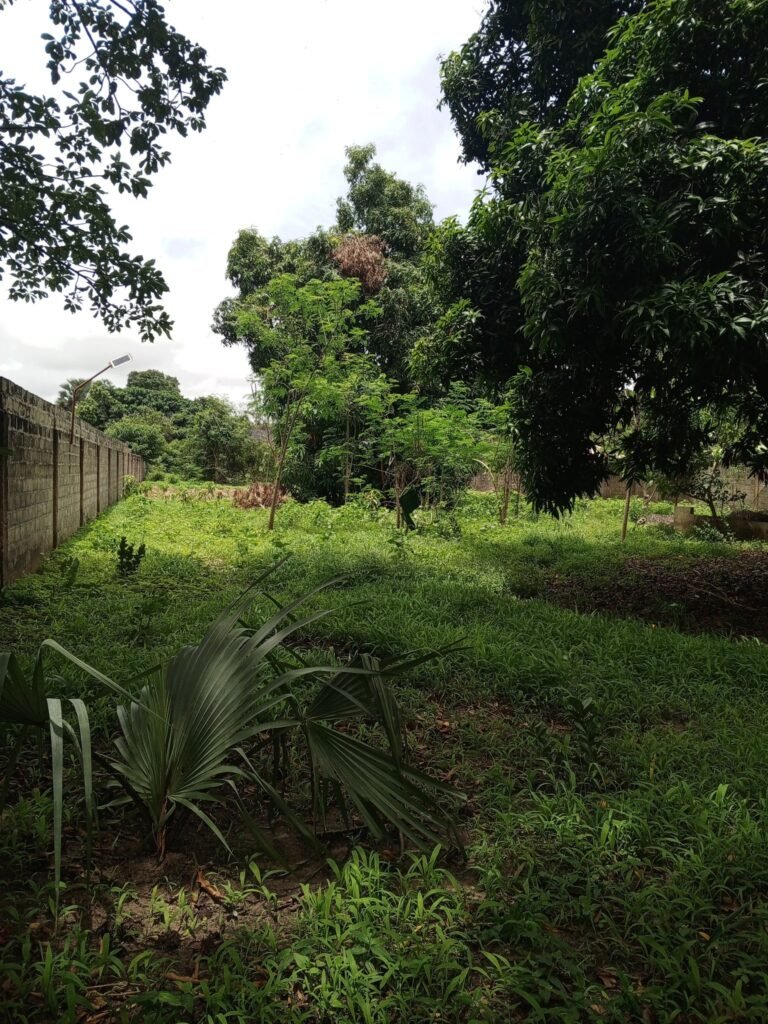 tujering buying plots houses